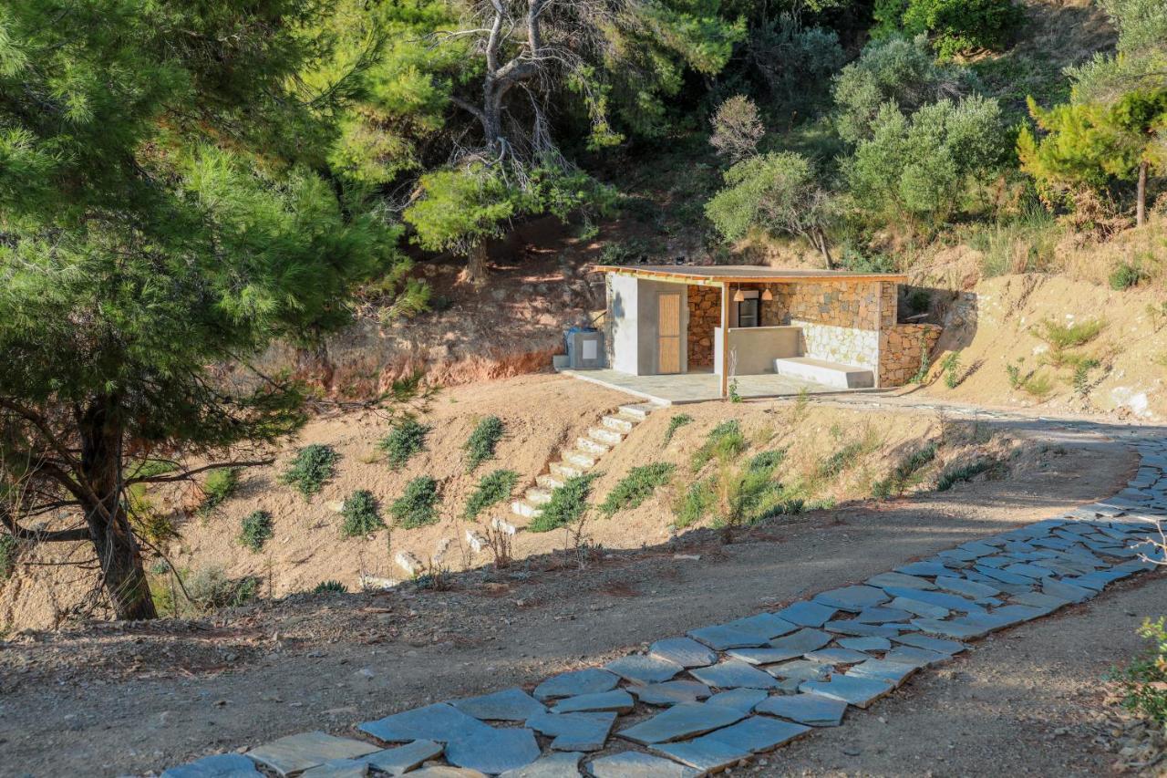 Thalasses Villas Skiathos Punta ภายนอก รูปภาพ