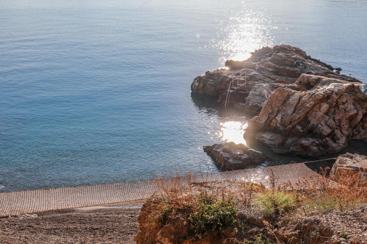 Thalasses Villas Skiathos Punta ภายนอก รูปภาพ