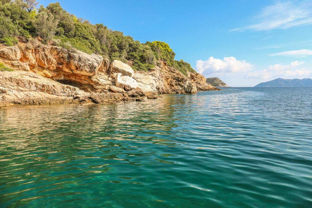 Thalasses Villas Skiathos Punta ภายนอก รูปภาพ